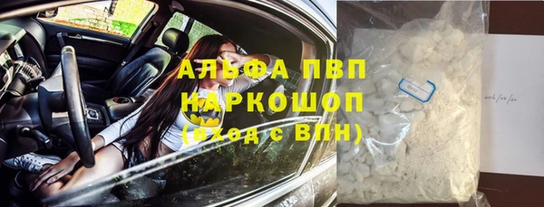 спиды Белокуриха