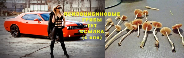 спиды Белокуриха